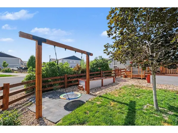 343 Stoll, Windsor, CO 80550