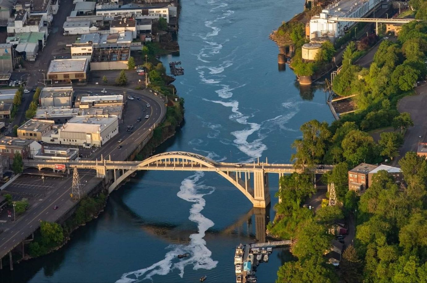 the-lower-willamette