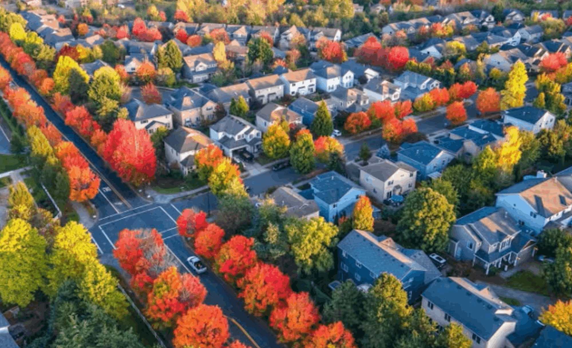 Screenshot 2026-01-05 at 4.39.59 PM