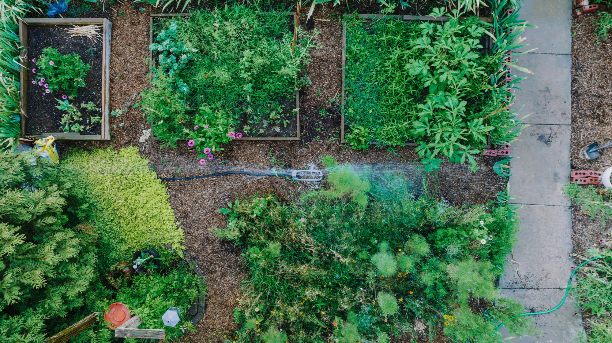 zone 8b garden 