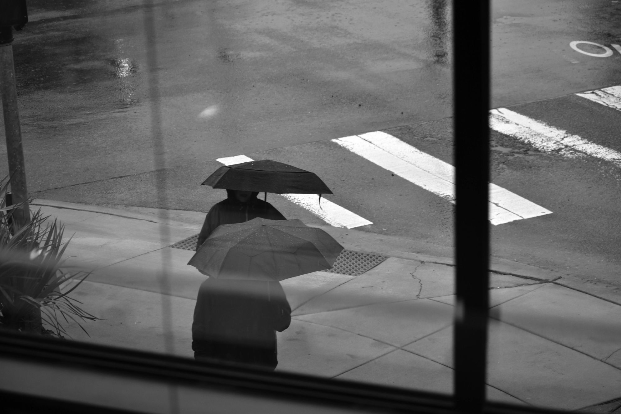 portland rain