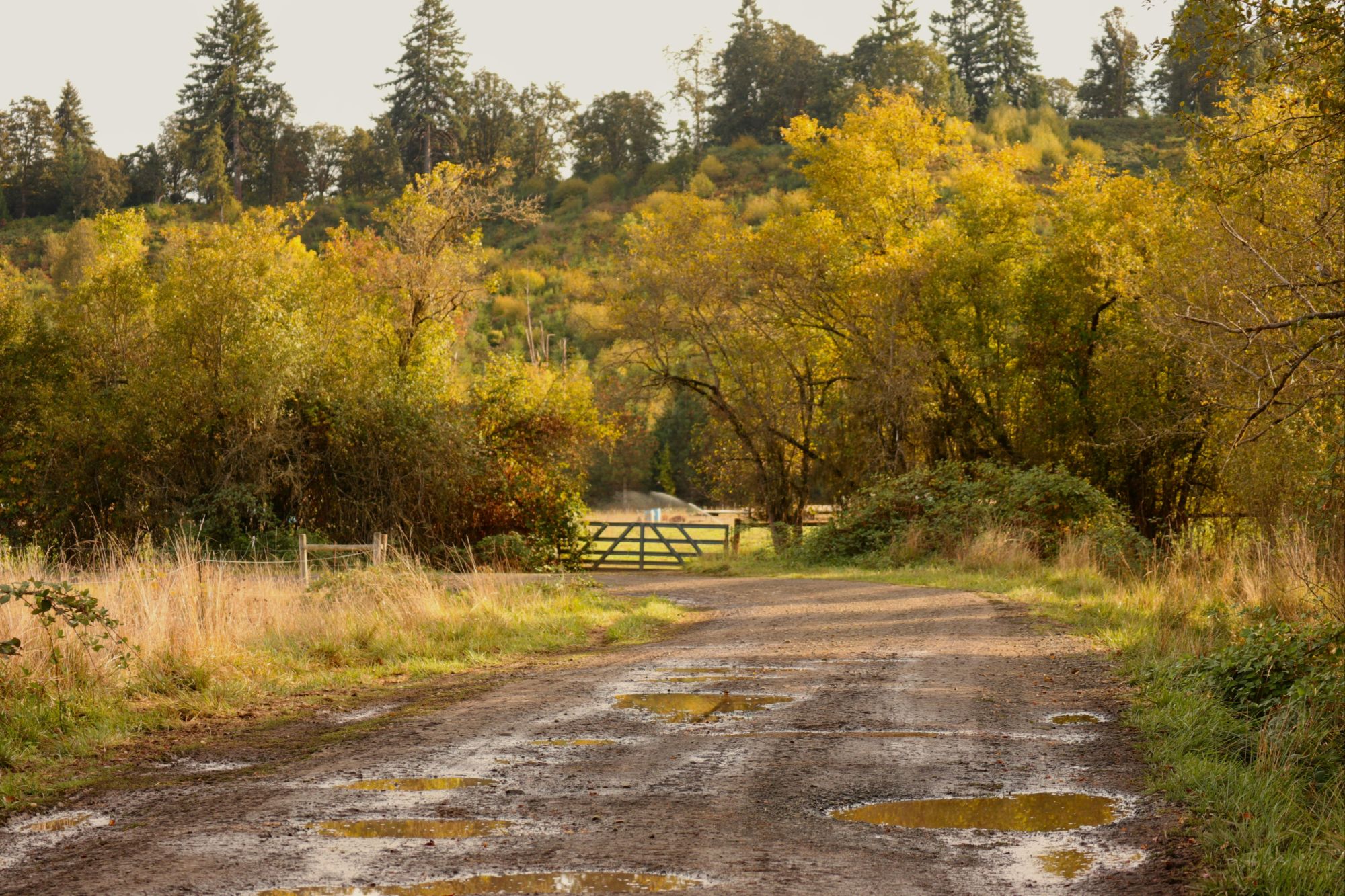 moving to yamhill county