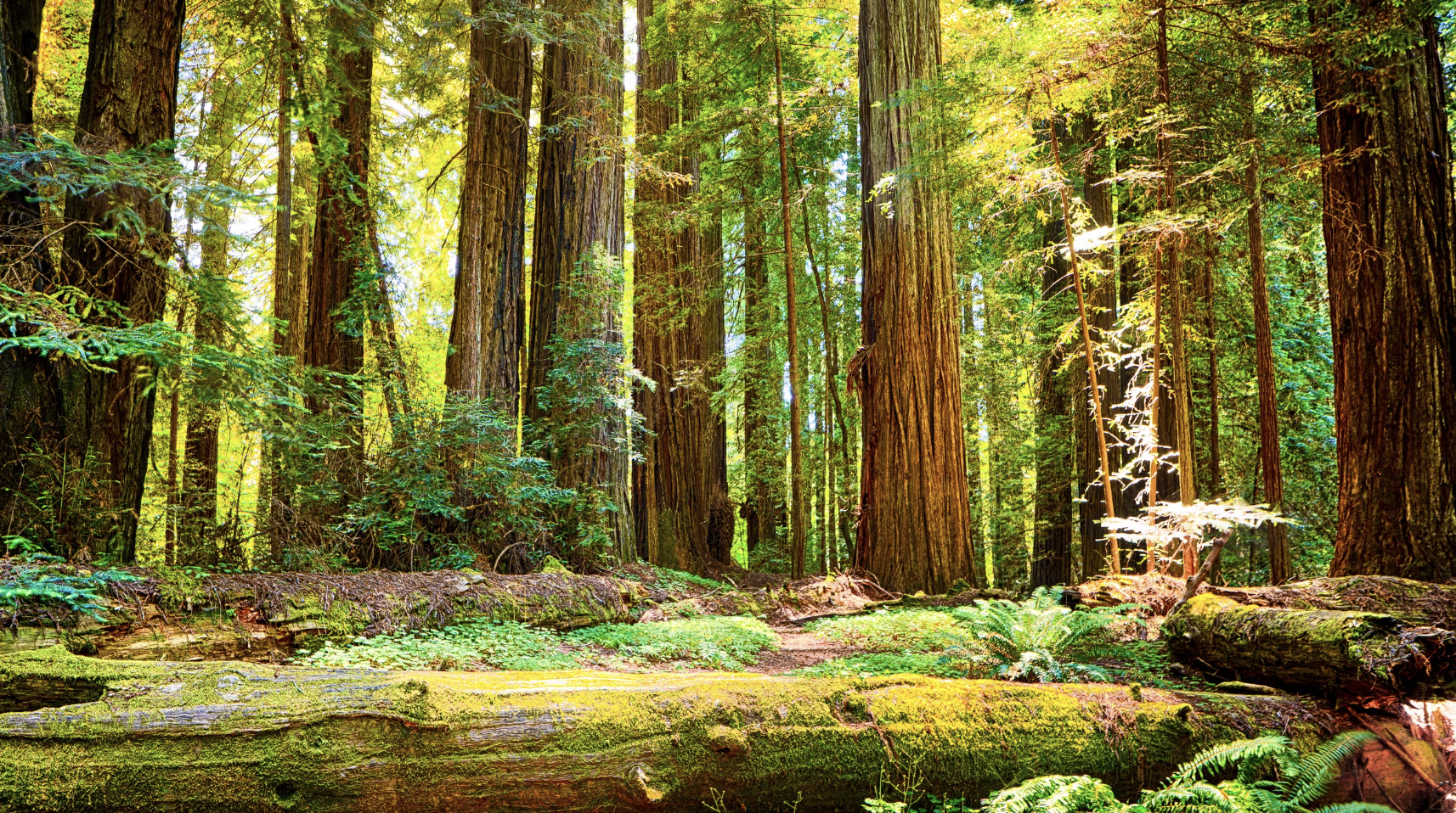 Portland Nature