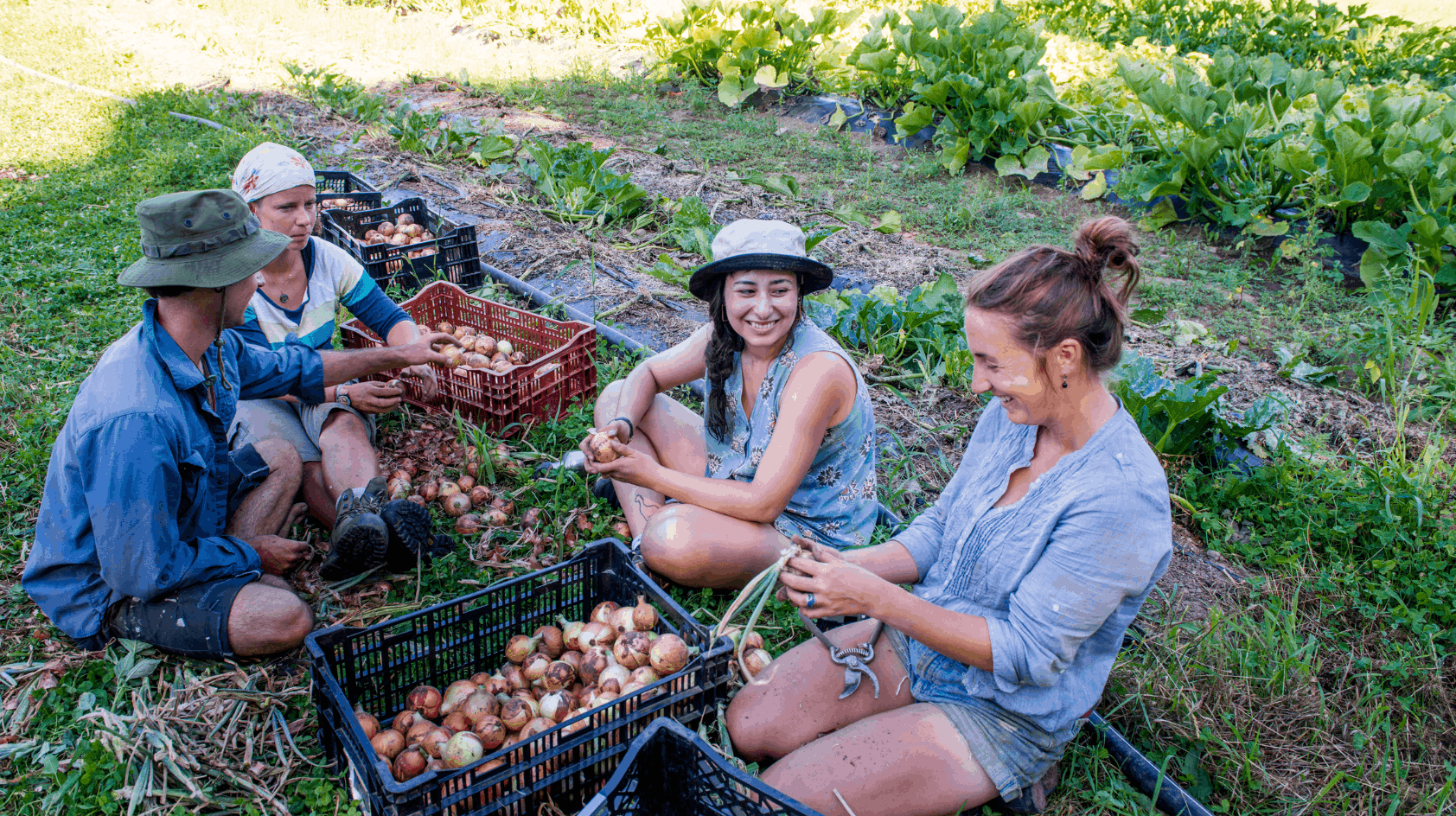 Community Gardens