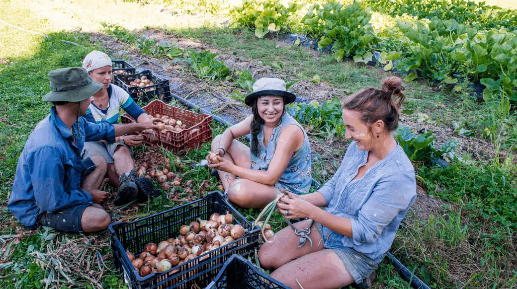 Why Sustainable Living Feels More Possible in Oregon