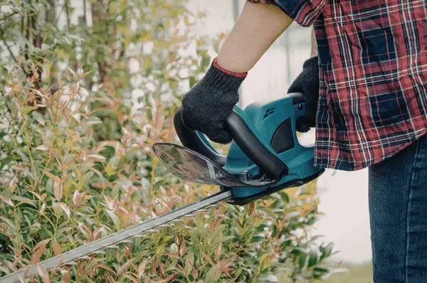 February Home Maintenance Checklist for Pacific Northwest Homes,Amanda Hagen