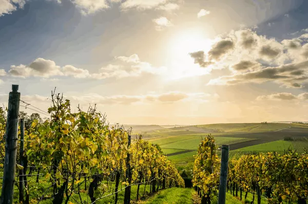 Relocating to the Willamette Valley: What You Need to Know Before You Move,Amanda Hagen