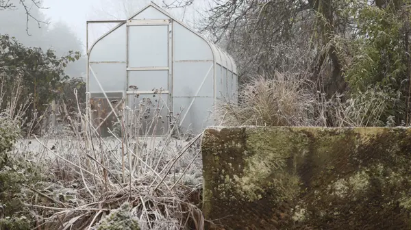 February Garden Prep: How to Set Your Garden Up for Success Before Spring Arrives,Amanda Hagen