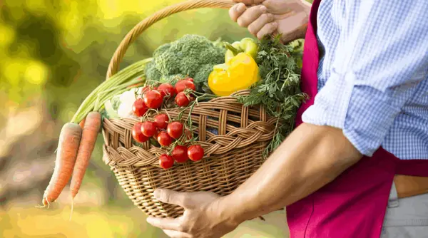 March Garden Prep in Oregon — Your Complete Seasonal Checklist,Amanda Hagen