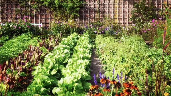 April Garden Prep in Zone 8b: What to Do Now for a Thriving Spring Garden
