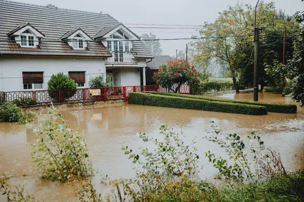 feature image of Signs of Water Damage: Red Flags to Look for When Touring Portland Homes