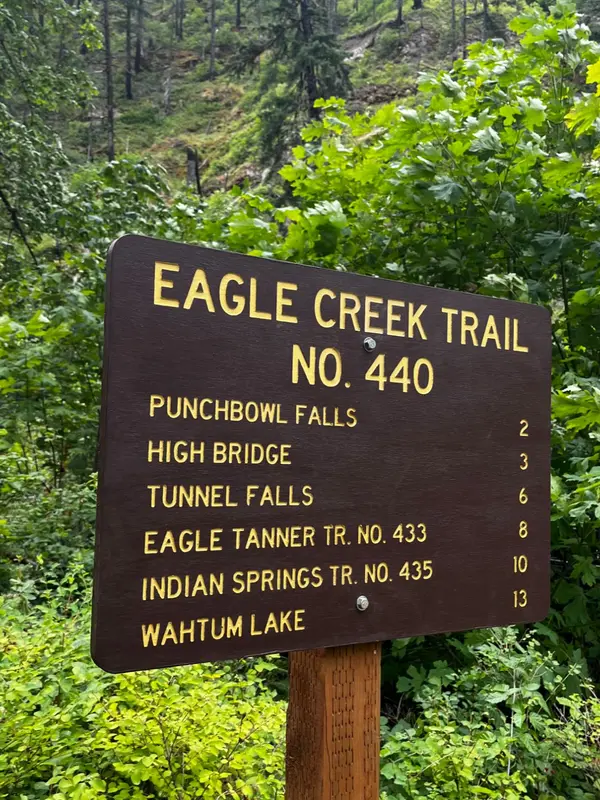 feature image of What's the hike to Punch Bowl Falls on Eagle Creek Trail like, and is it worth the trip from Portland?