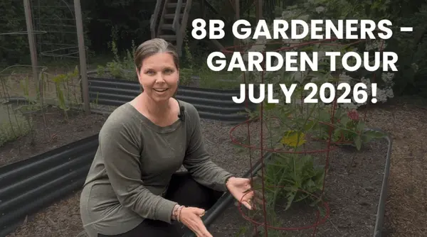 feature image of A Look Inside My Own Backyard (Plus a Few Tomato Tips)