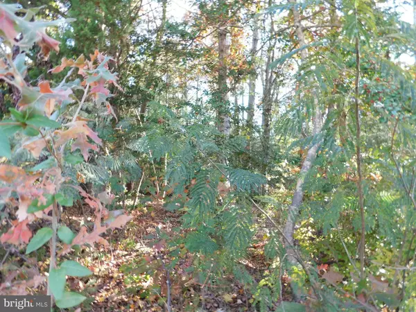 TN 10C 8 1 23 FOREST GROVE RD, Colonial Beach, VA 22443