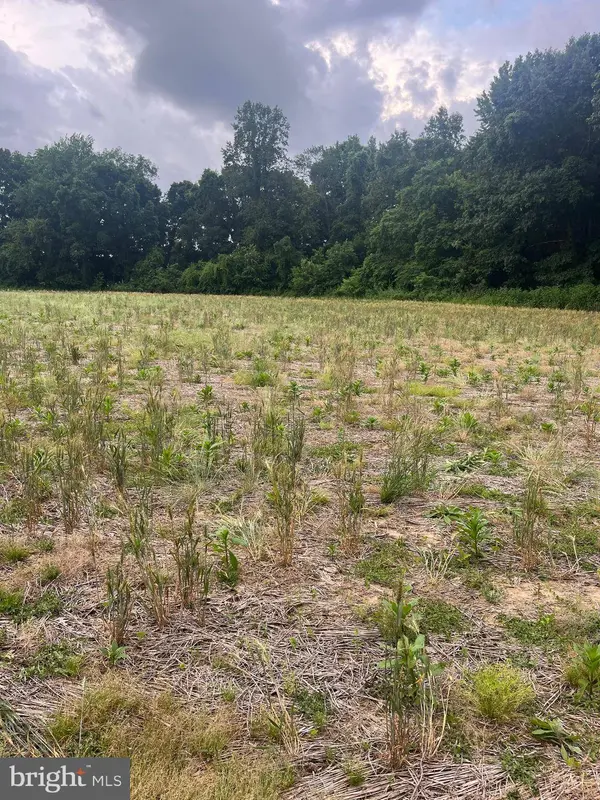 LOT 10 SALEM CHURCH RD, King George, VA 22485