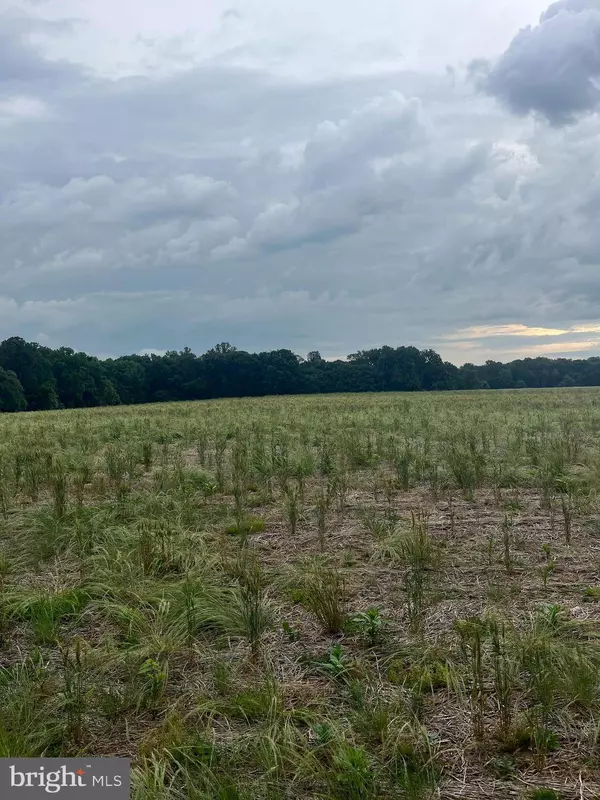 LOT 9 SALEM CHURCH RD, King George, VA 22485