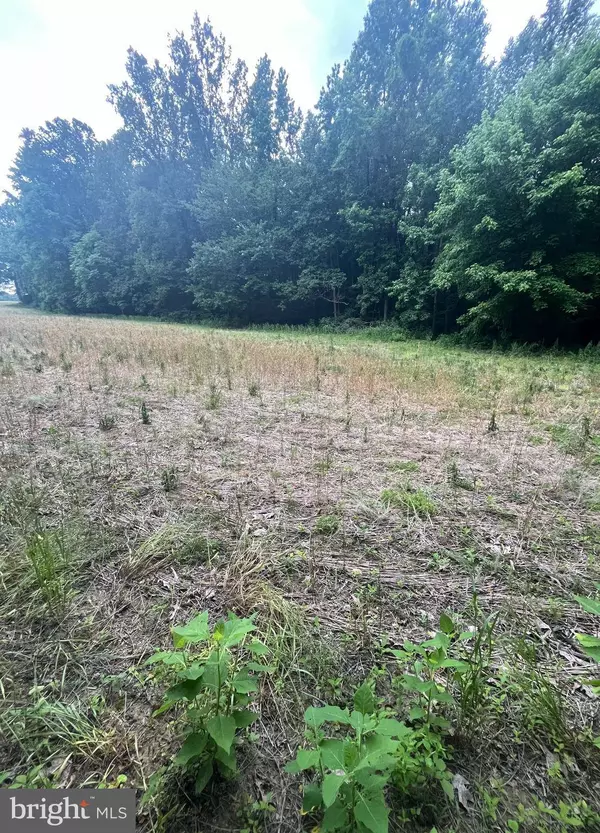 LOT 9 SALEM CHURCH RD, King George, VA 22485