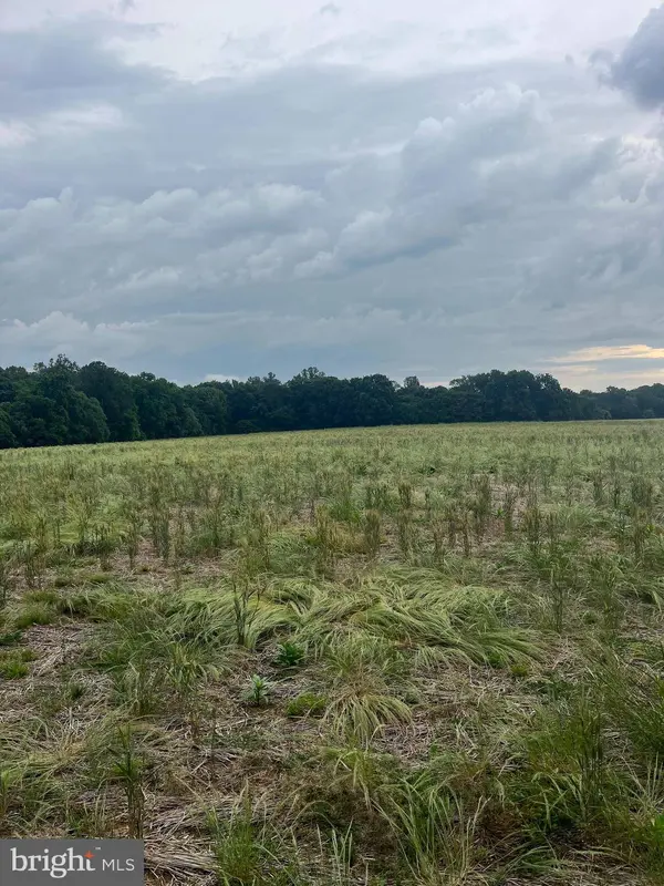 LOT 10 SALEM CHURCH RD, King George, VA 22485