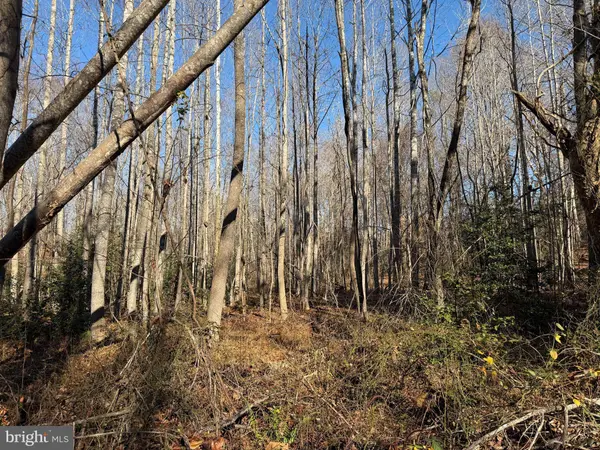 LOT 2 B TURKEY ACRES RD, King George, VA 22485