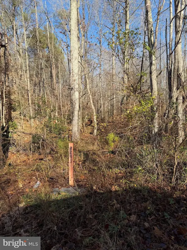 LOT 2 B TURKEY ACRES RD, King George, VA 22485