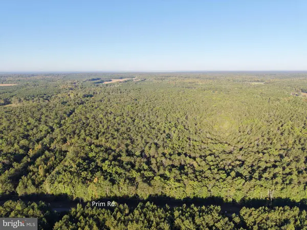 LOT 17A PRIM RD, King George, VA 22485