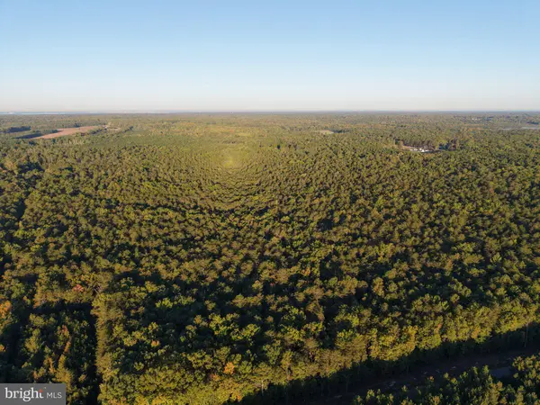 LOT 17A PRIM RD, King George, VA 22485