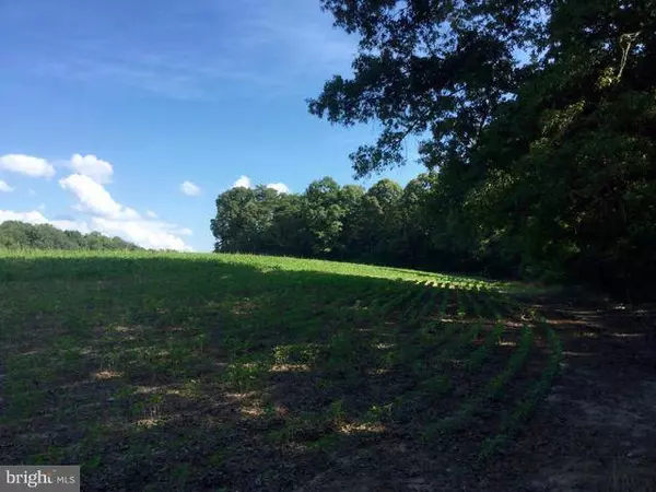 CANTERBURY LOOP, King George, VA 22485