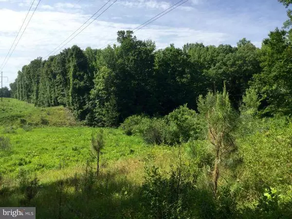 CANTERBURY LOOP, King George, VA 22485