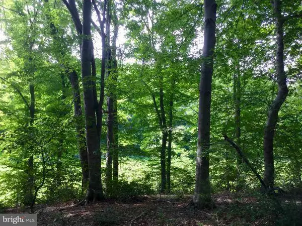 CANTERBURY LOOP, King George, VA 22485