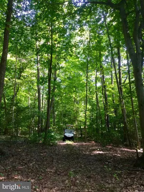 CANTERBURY LOOP, King George, VA 22485