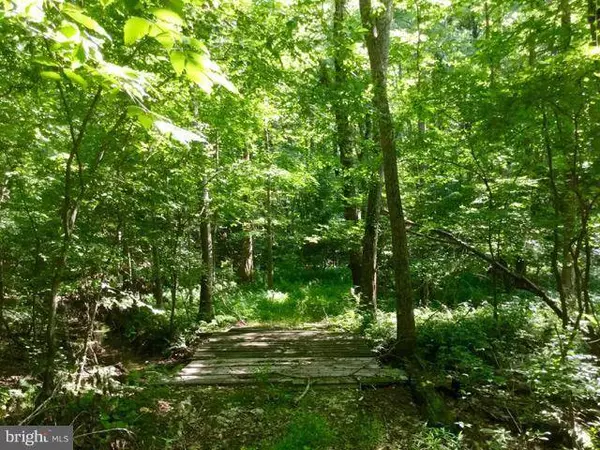 CANTERBURY LOOP, King George, VA 22485