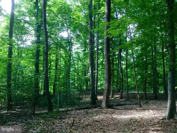 CANTERBURY LOOP, King George, VA 22485