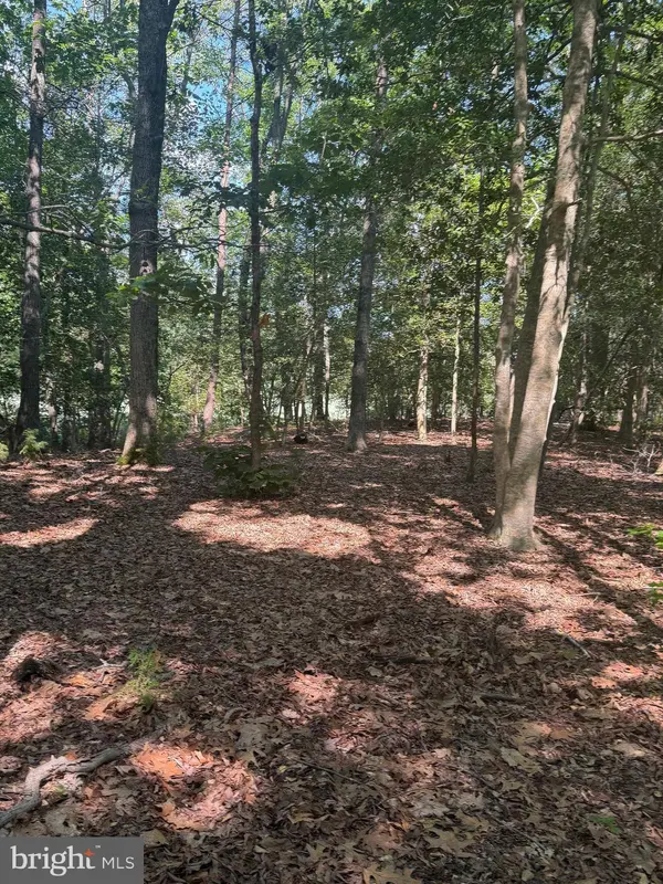 0000 NANCY LN, King George, VA 22485