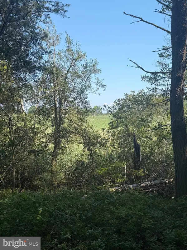 0000 NANCY LN, King George, VA 22485