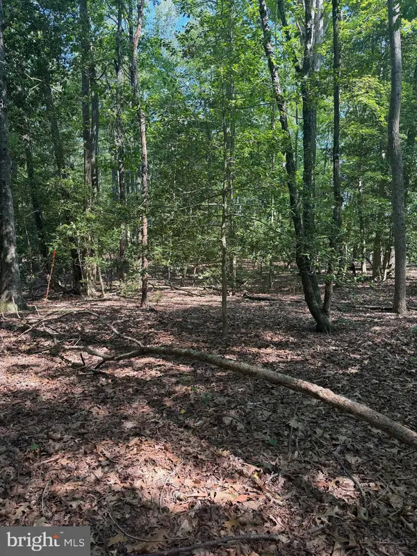 0000 NANCY LN, King George, VA 22485