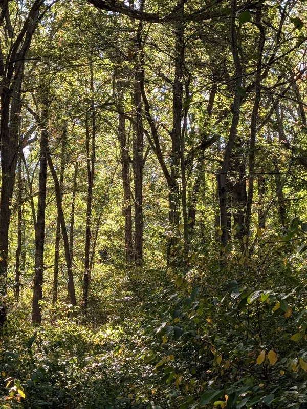 , 244th Place, Schneider, IN 46376