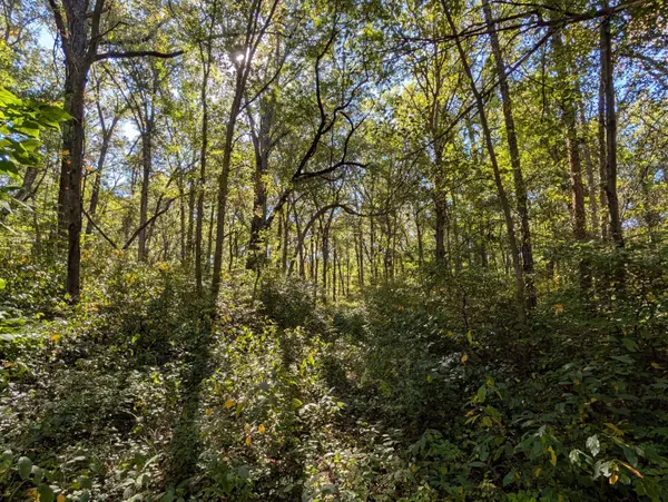 , 244th Place, Schneider, IN 46376