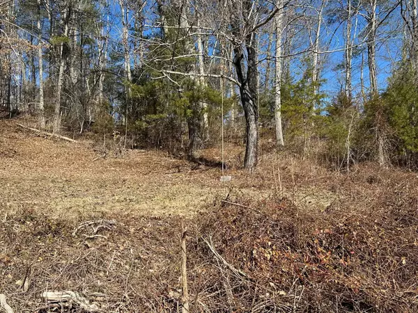 60 OAK ST, Craigsville, VA 24430