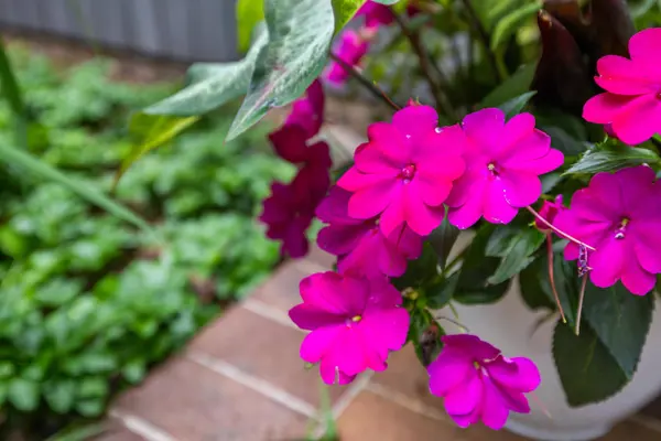 114 OAK TERRACE DR, Staunton, VA 24401