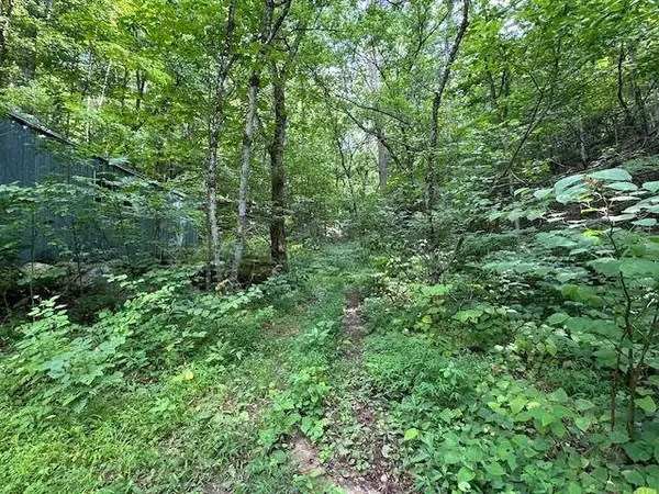 195 NORTHVIEW DR, Lexington, VA 24450