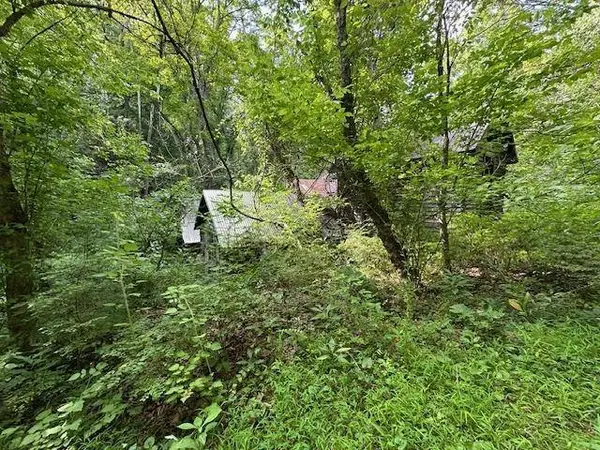 195 NORTHVIEW DR, Lexington, VA 24450