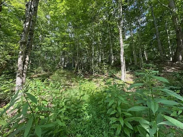 195 NORTHVIEW DR, Lexington, VA 24450