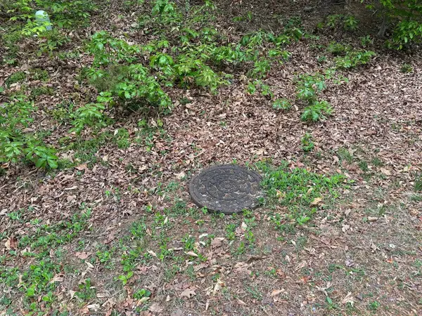 4 EAST POINT RD, Palmyra, VA 22963