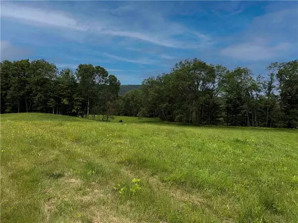 132 Waters Edge DR, Cooperstown, NY 13326