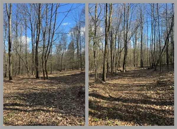 Ramey RD, Pittsfield, NY 13411