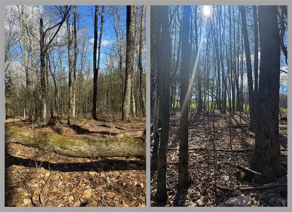 Ramey RD, Pittsfield, NY 13411