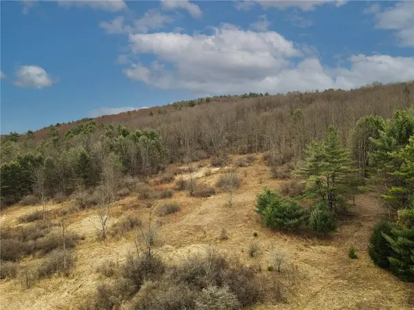 373 County Highway 10, Morris, NY 13808