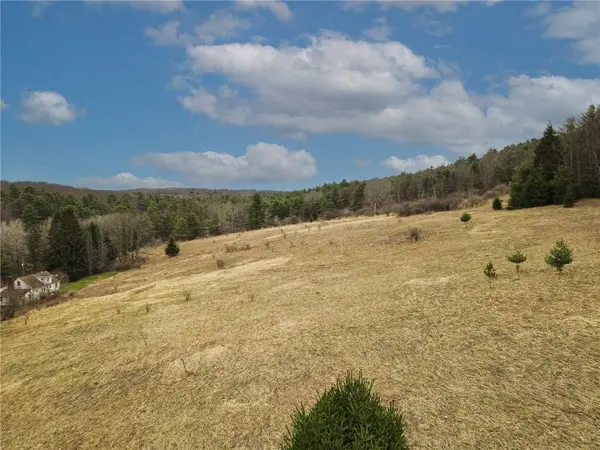 373 County Highway 10, Morris, NY 13808