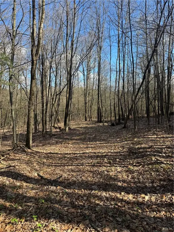 Ramey RD, Pittsfield, NY 13411