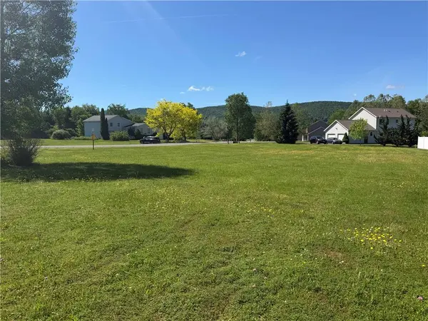 Park Dr, Oneonta, NY 13820
